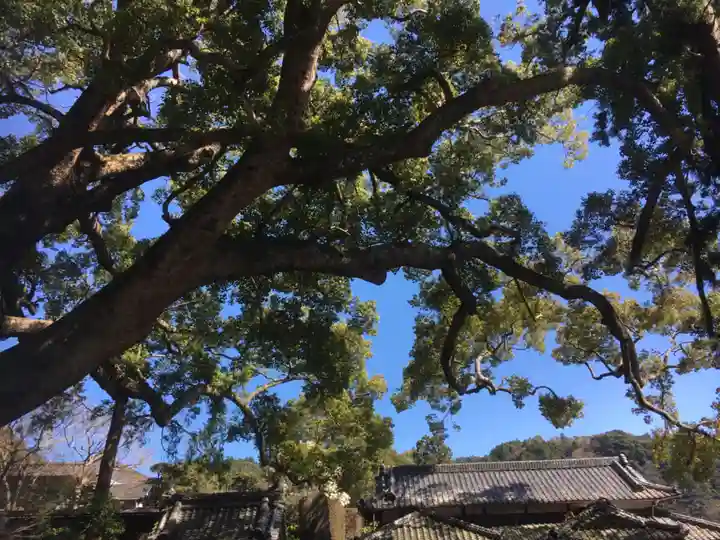 事任八幡宮の自然