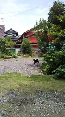 城山富士浅間神社の周辺