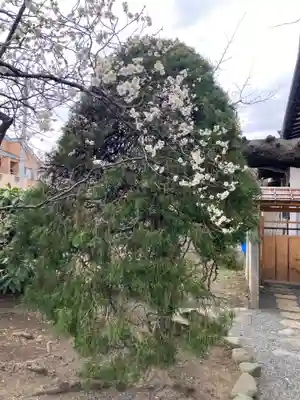 薬師院(神奈川県)