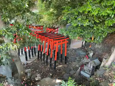 澤蔵司稲荷（慈眼院）(東京都)