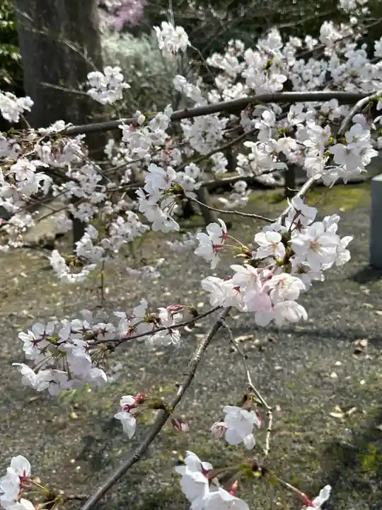 氣比神宮(福井県)