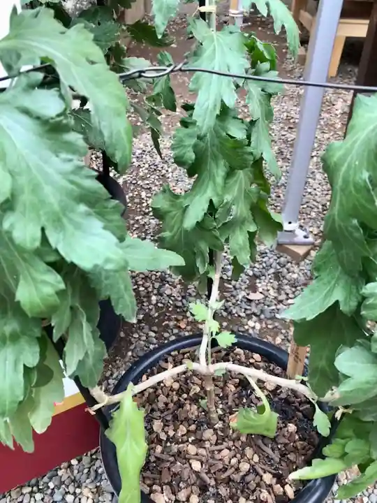 検見川神社のその他建物