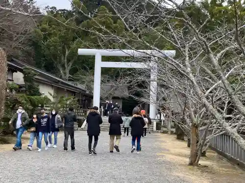 安房神社の鳥居