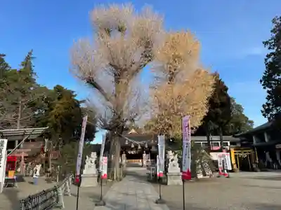 亀ケ池八幡宮(神奈川県)