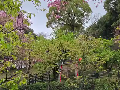 曽我浅間神社(静岡県)