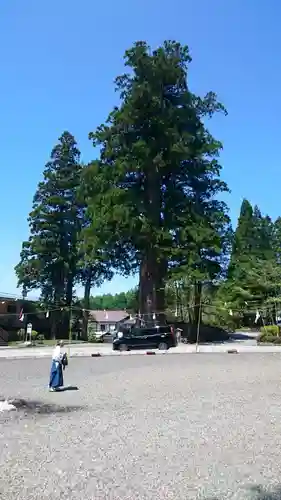 戸隠神社中社の景色