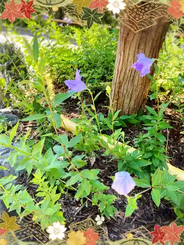晴明神社の自然
