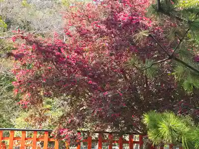 玉津島神社(和歌山県)