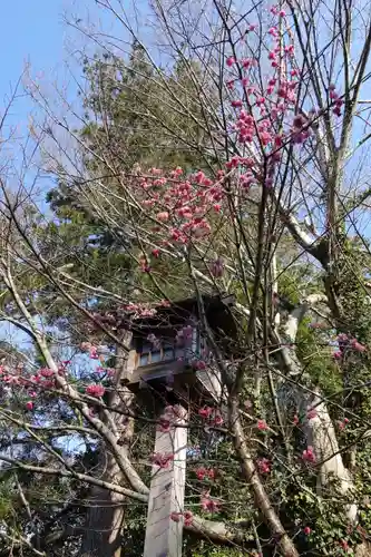 金峯山寺の自然