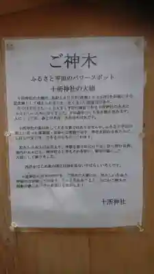 十所社の歴史