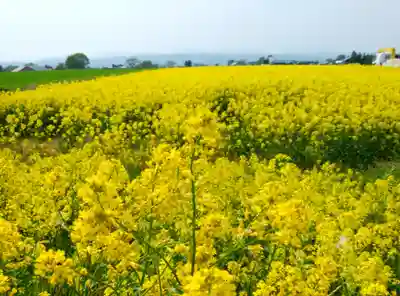 江部乙神社の周辺