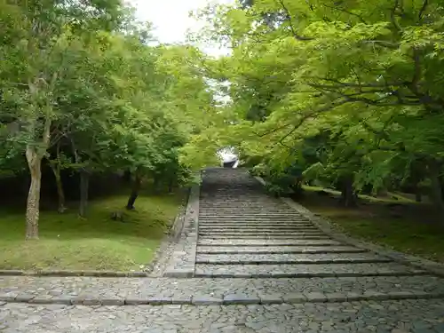 東大寺の自然