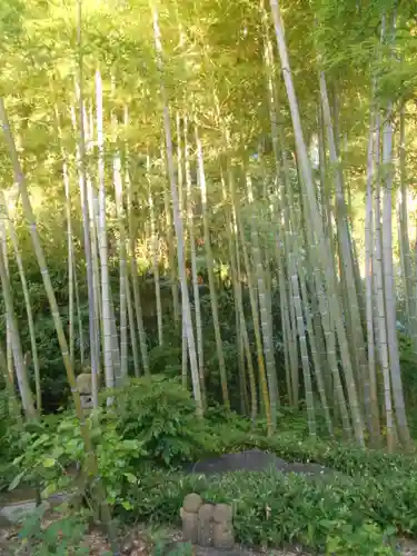 長谷寺の庭園