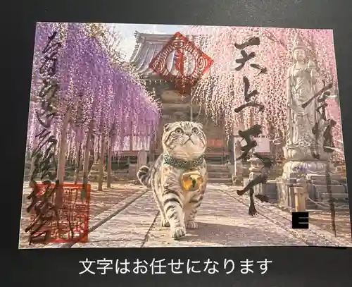 大澤山　龍藏寺の御朱印