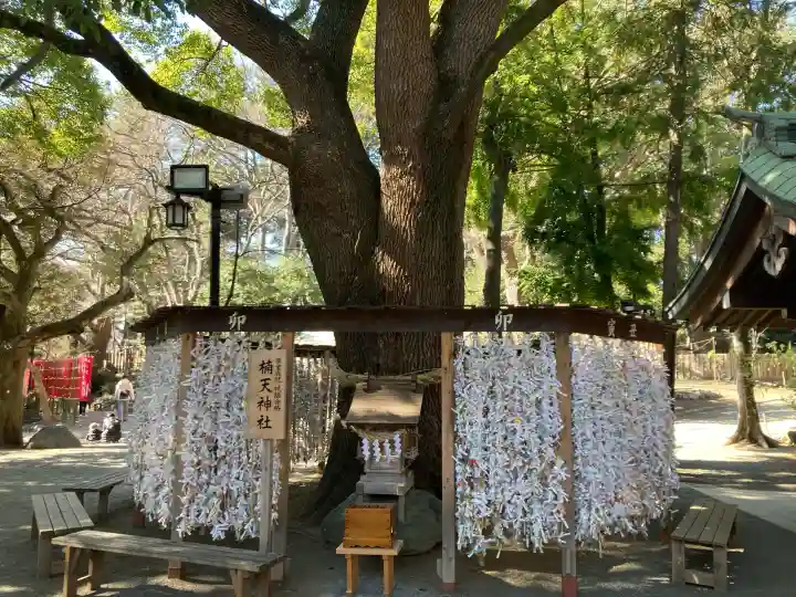 平塚八幡宮の{uncategorized: "未分類", other: "その他", undefined: "問題あり", building: "その他建物", grave: "お墓", sacred_gate: "鳥居", guardian: "狛犬", statue: "像", buddha: "仏像", history: "歴史", nature: "自然", garden: "庭園", animal: "動物", pagoda: "塔", temizu: "手水舎", mountain_gate: "山門・神門", sanctuary: "本殿・本堂", subordinate: "末社・摂社", art: "芸術", scenery: "景色", jizo: "地蔵", ema: "絵馬", goshuin: "御朱印", omikuji: "おみくじ", items: "授与品その他", amulet: "お守り", goshuincho: "御朱印帳", eats: "食事", festival: "お祭り", votive_dance: "神楽", shichigosan: "七五三参", wedding: "結婚式", experience: "体験その他", initially: "初詣", around: "周辺", anti_infection: "感染症対策"}