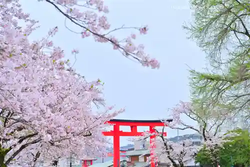 富士山本宮浅間大社(静岡県)