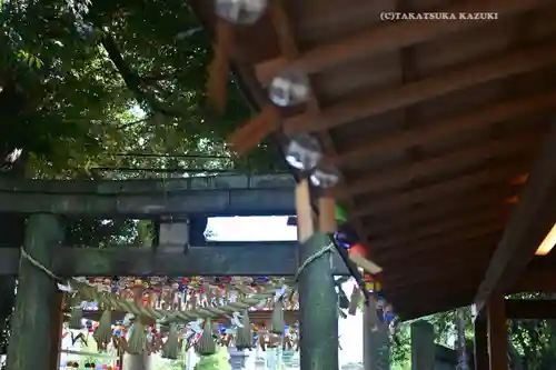 川越氷川神社(埼玉県)