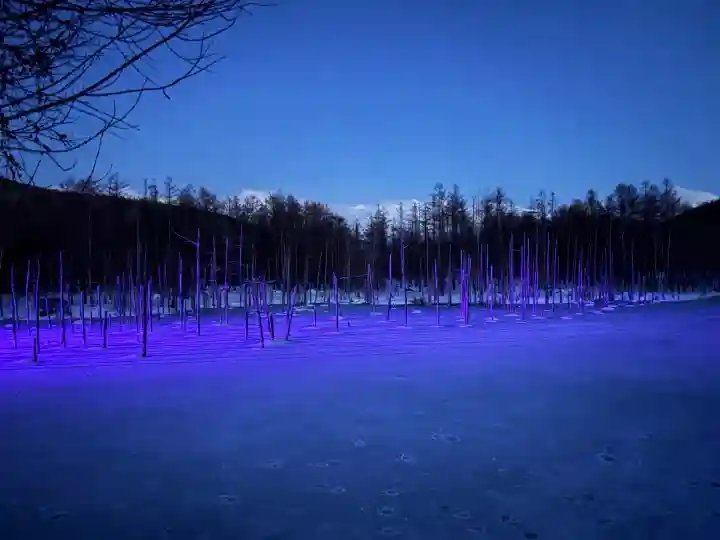 美瑛神社の周辺