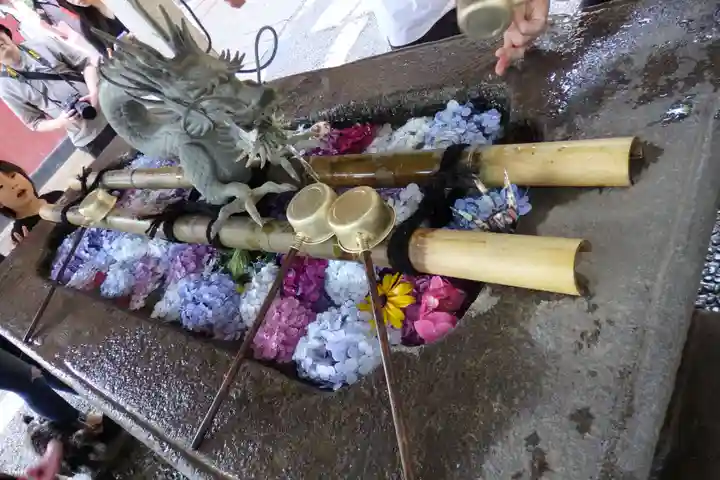 楽法寺(雨引観音)の動物