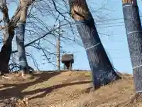 山王山古墳の本殿・本堂