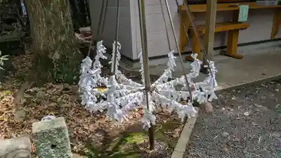 山王神社のおみくじ