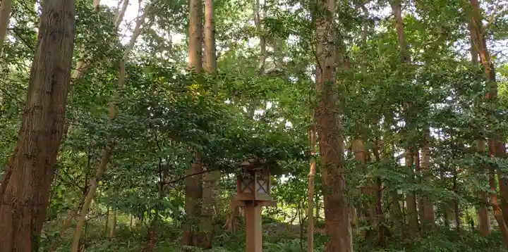 伊雜宮(皇大神宮別宮)(三重県)