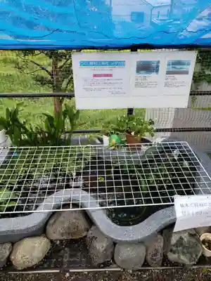 杉山神社のその他建物