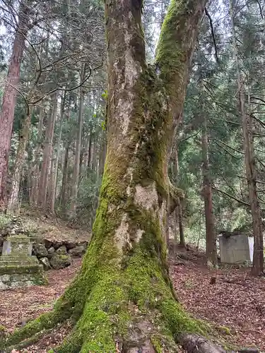 須波阿津疑神社(福井県)