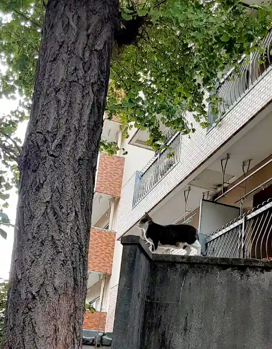 小野照崎神社(東京都)