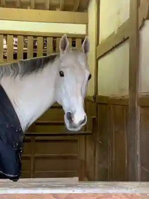 金刀比羅宮(香川県)