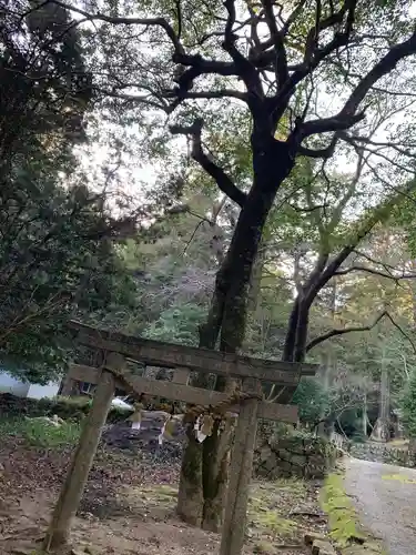 熊野神社の鳥居