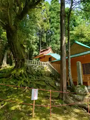 赤猪岩神社の{uncategorized: "未分類", other: "その他", undefined: "問題あり", building: "その他建物", grave: "お墓", sacred_gate: "鳥居", guardian: "狛犬", statue: "像", buddha: "仏像", history: "歴史", nature: "自然", garden: "庭園", animal: "動物", pagoda: "塔", temizu: "手水舎", mountain_gate: "山門・神門", sanctuary: "本殿・本堂", subordinate: "末社・摂社", art: "芸術", scenery: "景色", jizo: "地蔵", ema: "絵馬", goshuin: "御朱印", omikuji: "おみくじ", items: "授与品その他", amulet: "お守り", goshuincho: "御朱印帳", eats: "食事", festival: "お祭り", votive_dance: "神楽", shichigosan: "七五三参", wedding: "結婚式", experience: "体験その他", initially: "初詣", around: "周辺", anti_infection: "感染症対策"}