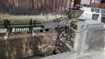 行願寺（革堂）(京都府)