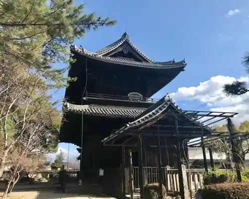 大樹寺（松安院大樹寺）のその他建物
