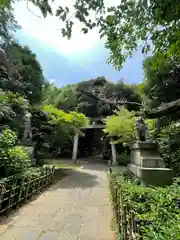 赤坂氷川神社の鳥居