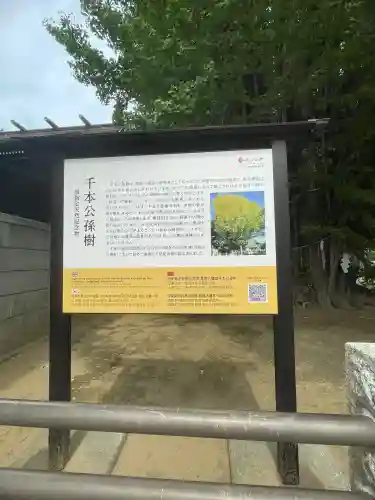 葛飾八幡宮(千葉県)