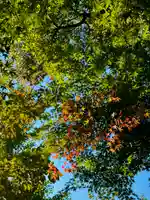伊達神社(北海道)