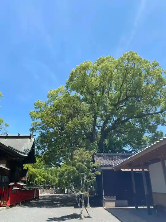 美奈宜神社(福岡県)