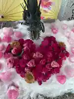 札幌諏訪神社の手水舎