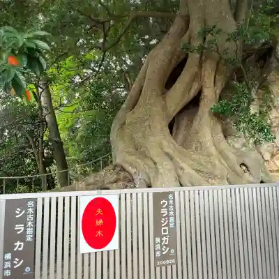 春日神社(神奈川県)