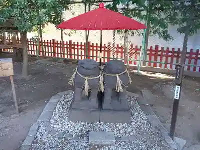 浅草神社の狛犬