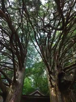 須佐之男神社(愛知県)