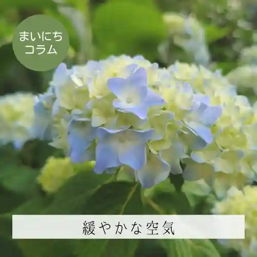 壽徳寺 じゅとくじ(福島県)