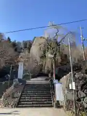 妙義神社(群馬県)