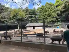 鹿島神宮(茨城県)