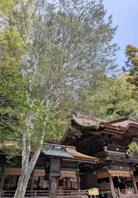 諏訪大社下社秋宮(長野県)