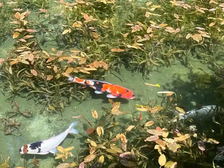 根道神社(岐阜県)
