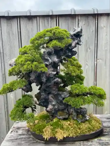 芳春院(京都府)