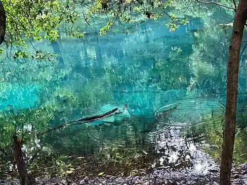 丸池神社(山形県)