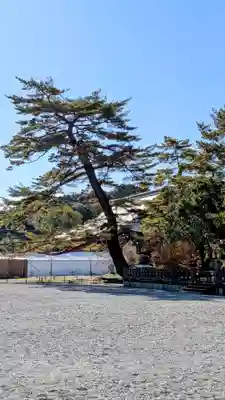 橿原神宮(奈良県)